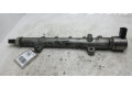 Vstřikovací lišta A6510700595, R9144Z230A   Mercedes-Benz C W204     