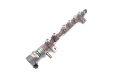 Vstřikovací lišta 16610-RL0-G01, 0281002966   Honda CR-V    N22B3 