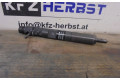 Форсунка 8200827965, 166000897R    Nissan NV200  1461ccm | 66kW | K9K400 