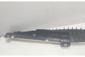 Подушка безопасности двери A2198600105, 6023718014   Mercedes-Benz CLS AMG C219