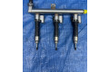 Топливная рампа 175208396R, 166000786R   Renault Austral  