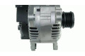 Генератор 2543374, TG17C024   Volkswagen Sharan      