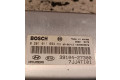 Řídící jednotka 3910427300, 1039S09872   Hyundai Tucson JM 2004