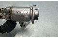 Vstřikovač 208995377R, HMGLT9382R   Renault Megane IV     