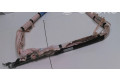 Надувная подушка для крыши LV4BS042D95AK, 2473269   Ford Kuga III