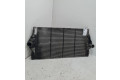 Интеркулер  8200075810, 8200075810   Renault Vel Satis 