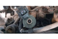 Форсунка 0445110076    Peugeot Expert  RHZ 