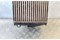 Интеркулер  9806562180, 9806562180   Citroen LN LNA 