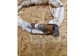 Боковая подушка безопасности 985P03112R, 658028800B   Dacia Spring