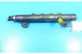 Топливная рампа 0281002903, IMPRK1353112   Fiat Croma  