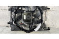 Вентилятор радиатора     214818864R    Renault Zoe 