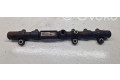 Топливная рампа A6650700295, R9145Z010B   SsangYong Rexton  