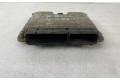 Блок управления двигателя 074906018H, 0281010407   Volkswagen Transporter - Caravelle T4
