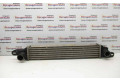 Интеркулер  52429458   Opel Meriva A 