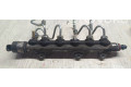 Топливная рампа 8200842432, H8200610223   Renault Laguna III  
