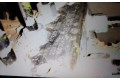 Jednotka ABS 476603ZU0B, 269678   Nissan Pulsar 2017