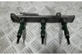 Форсунка 166008494R, 01955298008    Renault Duster II   