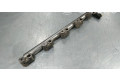 Топливная рампа AG9E9F797AB, 0261545064   Ford S-MAX   для двигателя TNWA