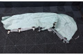 Боковая подушка безопасности 9871198, 987119807   BMW XM
