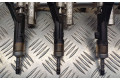 Vstřikovací lišta 9802438180, 1715495496   Citroen C3 Picasso    HN01 