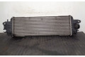 Píst 8200219497, 874869NC   Nissan Primastar    G9UB7 