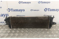 Интеркулер  8200411160C, 93854162   Renault Trafic II (X83) 