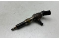 Vstřikovací lišta 9674973080, 50274V05   Citroen DS5     