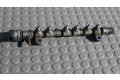 Vstřikovací lišta 0445214269, 0281006316   Honda CR-V    N22B4 
