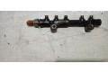 Vstřikovací lišta 9804776780, 9676643880   Peugeot 308     
