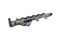 Топливная рампа 8200942721, H8200610223   Renault Koleos I 2.0 