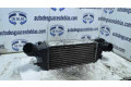 Интеркулер     Peugeot 207 CC 
