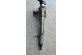 Vstřikovač 166009445R, H8200294788   Nissan Qashqai     
