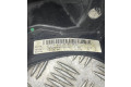 Volant Mercedes-Benz E W211 2007 A2194602803, 3056584  