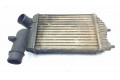 Интеркулер  1307012080, 0384G8   Citroen Jumper 2.4