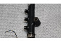 Vstřikovací lišta 9685297580, R9144Z290   Citroen DS3  pro naftový motor 1.4  