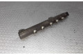 Vstřikovací lišta 0445214095, 55209572   Opel Vectra C    - 