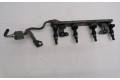 Комплект форсунок FBY1160, 6007418    Nissan Tiida C11  HR16DE 