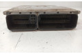 Řídící jednotka 96878476, 96878476   Opel Antara 2008