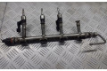Топливная рампа 03F133320C   Skoda Roomster (5J)  