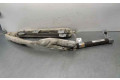 Подушка безопасности двери P55351261AF   Chrysler Sebring (JS)