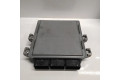 Řídící jednotka 6H4Q12A650CD, 5WS40371C   Land Rover Range Rover Sport L320 2007
