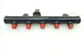 Топливная рампа 1570N5, 9681649580   Citroen Jumpy   для двигателя RHK