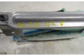 Подушка безопасности двери A2388601202, A2388601202   Mercedes-Benz E AMG W210
