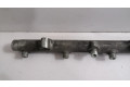 Vstřikovací lišta 4452160   BMW 5 E39  pro naftový motor 3.0 M57 D30 (306D1) 