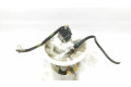 Vstřikovací čerpadlo 0580200183, BV619H307DD   Ford Focus  pro benzínový motor 2.0  