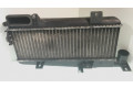 Интеркулер  51977557, 53077320   Peugeot 405 1.9
