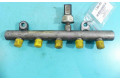 Vstřikovací lišta 9645689580, IMPRK1264453   Peugeot 407     