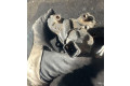 Vstřikovací čerpadlo 9652175480   Peugeot 307     