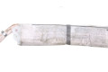 Подушка безопасности двери 1728602502, A1728602502   Mercedes-Benz SLK R172