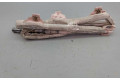 Подушка безопасности двери Q62078600202, 306083099AG   Mercedes-Benz CLK AMG A208 C208